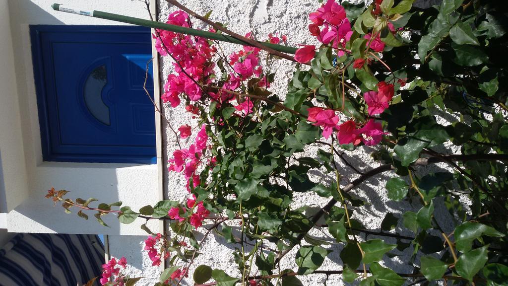 Apartment L.A. Tivat Exterior photo
